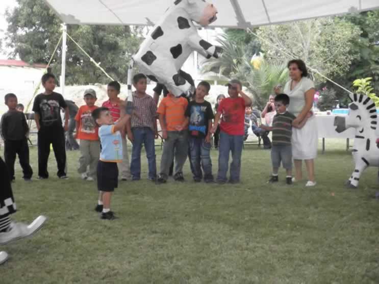 pinata